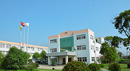 Leading the magnetic world and creating a better life